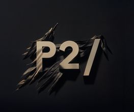 P2 Kommunikation AG Bild 1