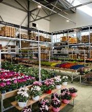 Bricorama La Chapelle Saint Luc image 4