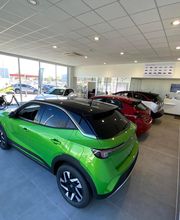 Mongodin Bellevue 1 image 8