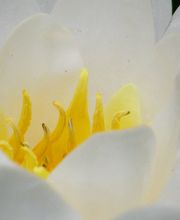 ´Neue Ufer´ Mike Dresbach Bild 1