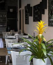 Ristorante Costa Azzurra Bild 4