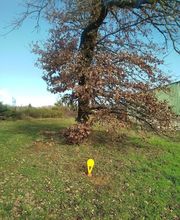 DELIMIT (SAS) Géomètre Expert image 5