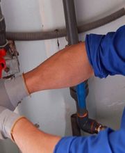 Vieillard Bruno image 1