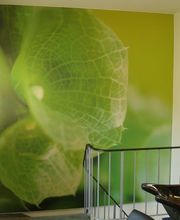 Malergeschäft Lehmann Thomas Bild 7