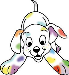 Toilettage canin et felin à domicile