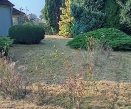 Dienstleistungsservice Kankel Bild 4