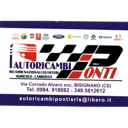 Autoricambi Ponti logo