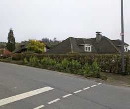 Felix Schön Garten- und Landschaftspflege