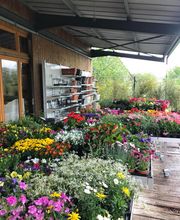 Mr.Bricolage Relais Treignac image 3