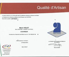 Violet Mario image 4