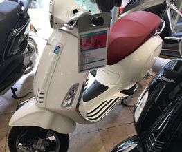 Action Scoots image 13