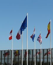 Dialog International image 3