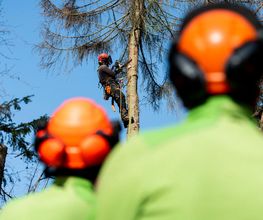 VB Dienstleistung GmbH Bild 11