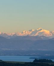 Auberge communale La Charrue Bild 4