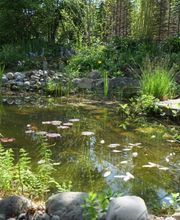 Einziggartig Gartenbau GmbH Bild 6