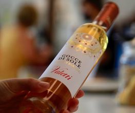 Cantina Valetti immagine 7