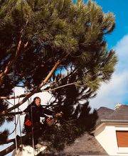 Jardin De La Côte image 6