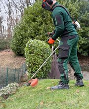 WhatsApp Image 2026-01-31 at 19.27.40.jpeg