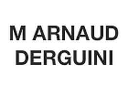 Derguini Arnaud image 2