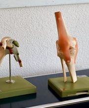 Dr. med. Walder Marcel Bild 10