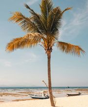 Numerique marketing Digitalone Bild 1