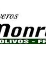 logo_viverosmonreal.JPG