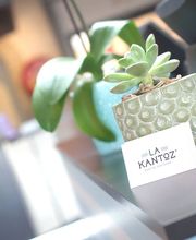 LA KANTOZ image 10