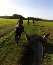 Cheval Nature image 9