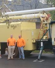 OUT ON A LIMB TREE SERVICE image 1