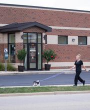 Animal Care Hospital of Morris Inc image 8