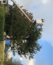 Rs Multiservices image 14