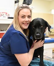 North Buffalo Animal Hospital image 6