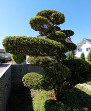 Blumen-Müller AG Bild 4