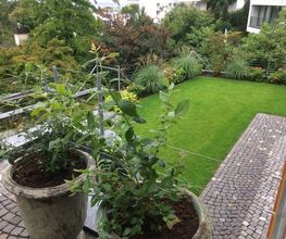 Stern Gartenbau AG Bild 4
