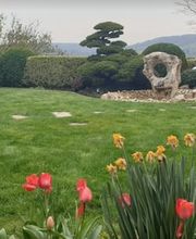 Gardenking GmbH Bild 6