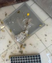 Dbassainissement image 3