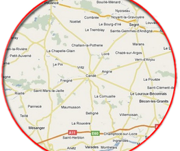 Cande Multi Services image 6