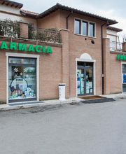 Gallery Professionale