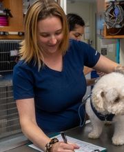 Santa Monica Pet Medical Center image 8