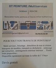 Dt Peinture image 1