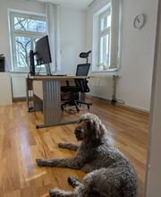 STEIDL. Die KFZ Sachverständigen. Bild 4