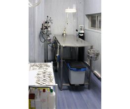 Veterinario Alcorcón imagen 4