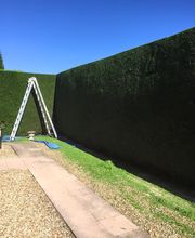 Un Jardin A Votre Image image 5