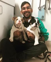 Irvine Valley Veterinary Hospital Emergency image 9