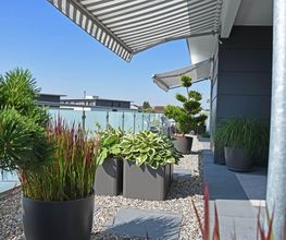 gartenbaumann AG Bild 7