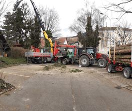 Mammutholzerei GmbH Bild 4
