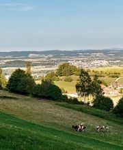 Schäfer Areal Bild 4