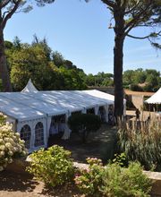 Alizé Réception image 4