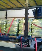 Guanafrik España, S.L imagen 3