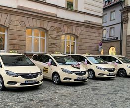 Taxi Braun Bild 2